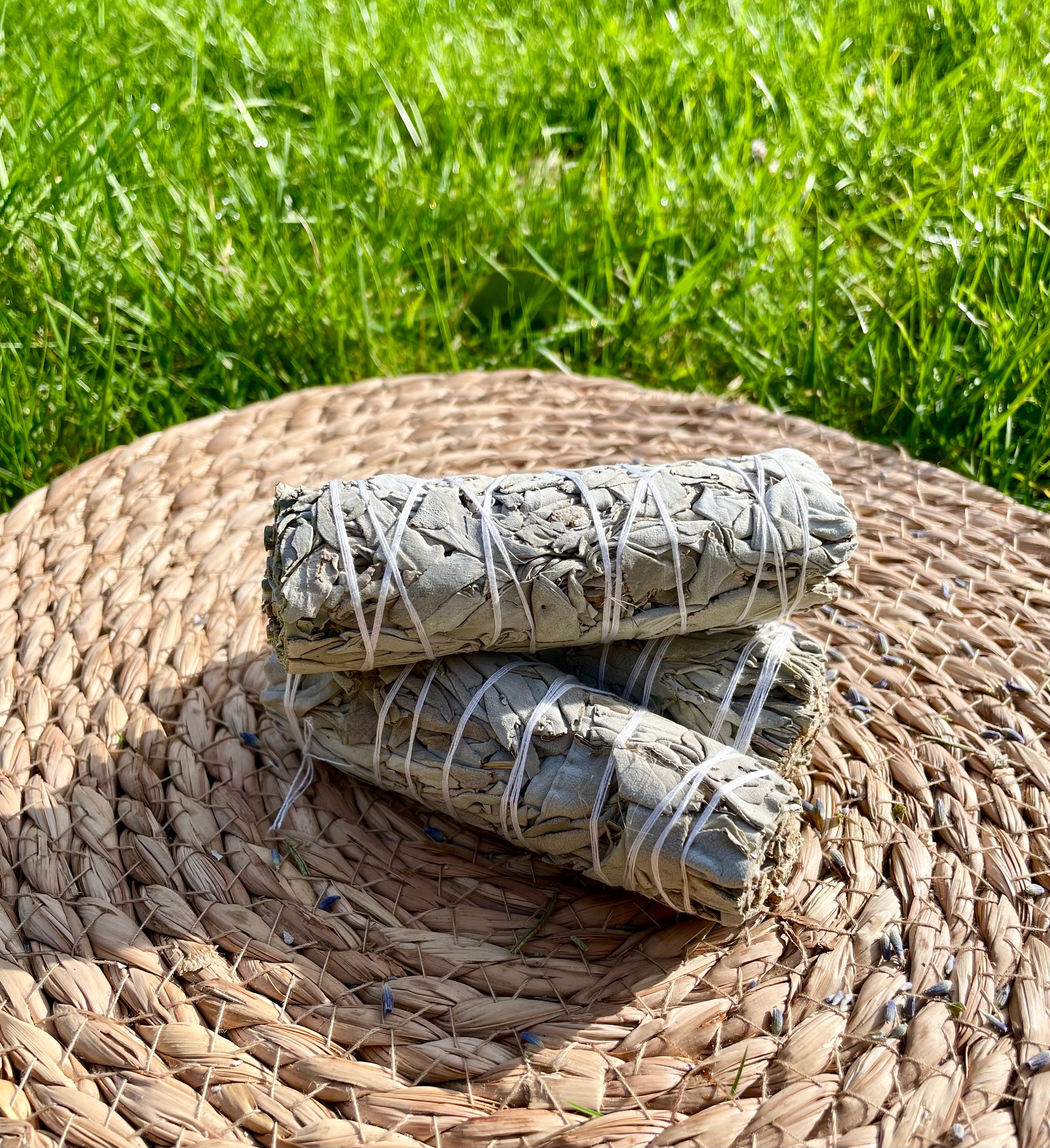White Sage Smudge Sticks