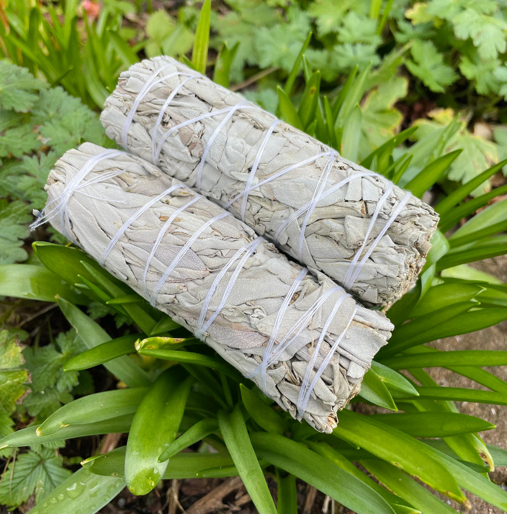 White Sage Smudge Sticks