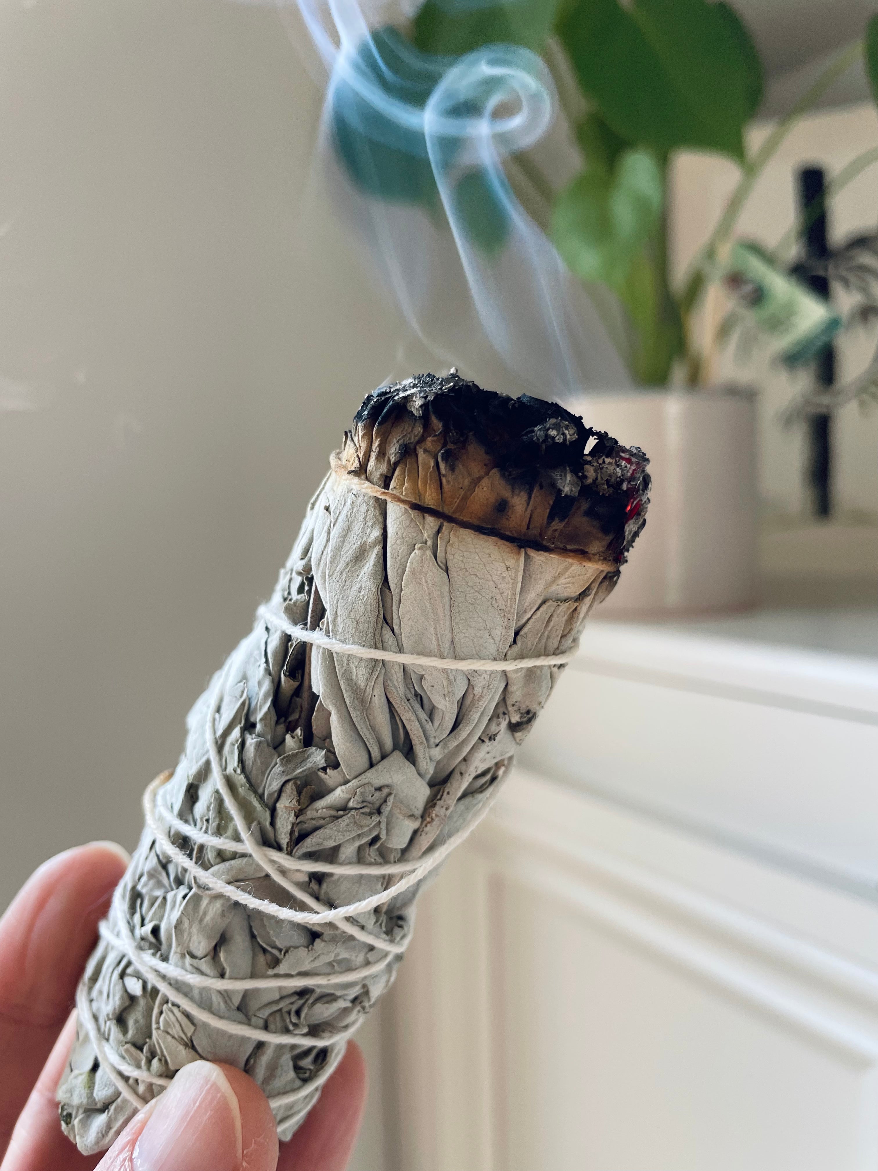 White Sage Smudge Sticks